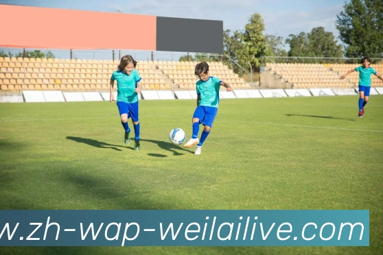 App Interface Preview